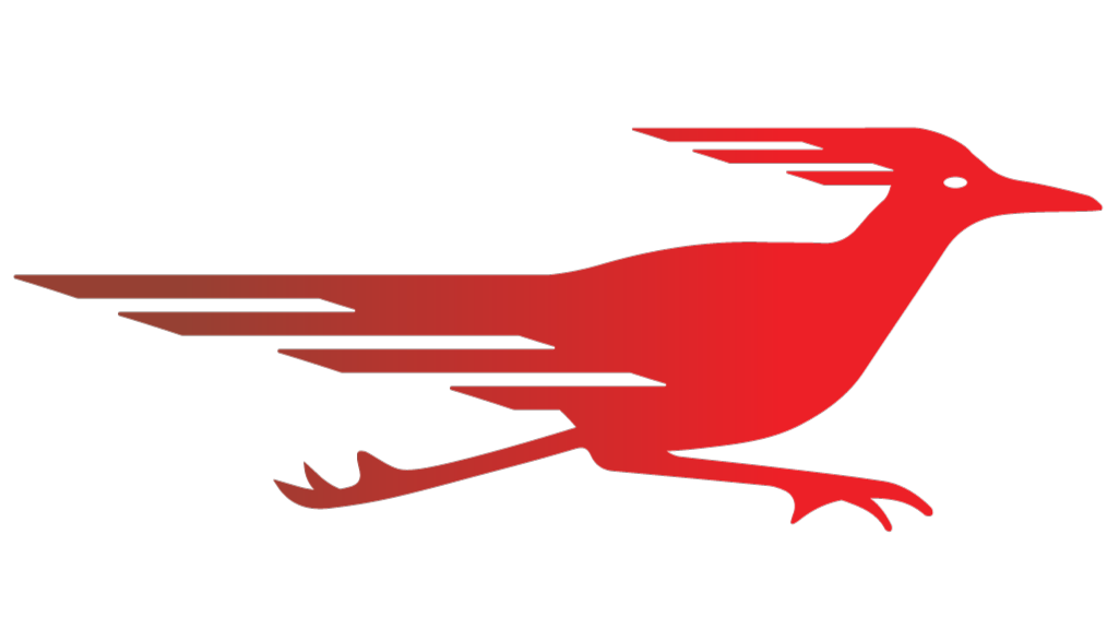 RoadRunner RV Storage logo